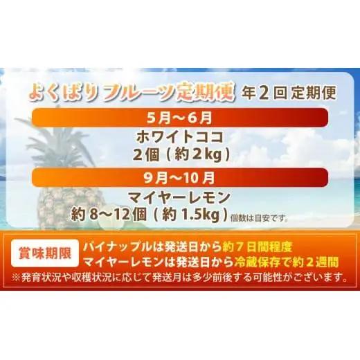 《年2回発送》島のおいしいを贅沢に！某TV番組で紹介された希少なホワイトココと青切りマイヤーレモンのよくばり定期便！