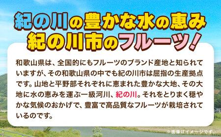 【先行予約】紅八朔(ポッポ) 約10kg JAわかやま 紀の里地域本部 
