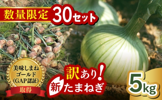 【先行予約】【数量限定30個】【2026年6月上旬以降順次発送】訳あり 玉ねぎ 《美味しまねゴールド認証取得！》 松江市産 春おとずれ新たまねぎ 5kg 島根県松江市/mishiro farm [ALIJ001]｜たまねぎ 新玉ねぎ ジューシー 柔らかい 料理 野菜 甘い 産地直送 農家直送 旬 春 玉ねぎ タマネギ