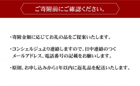 コンシェルジュ50万円プラン NZY001 