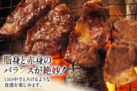 サガリ 牛 上サガリ 200g 6パック 計1.2kg