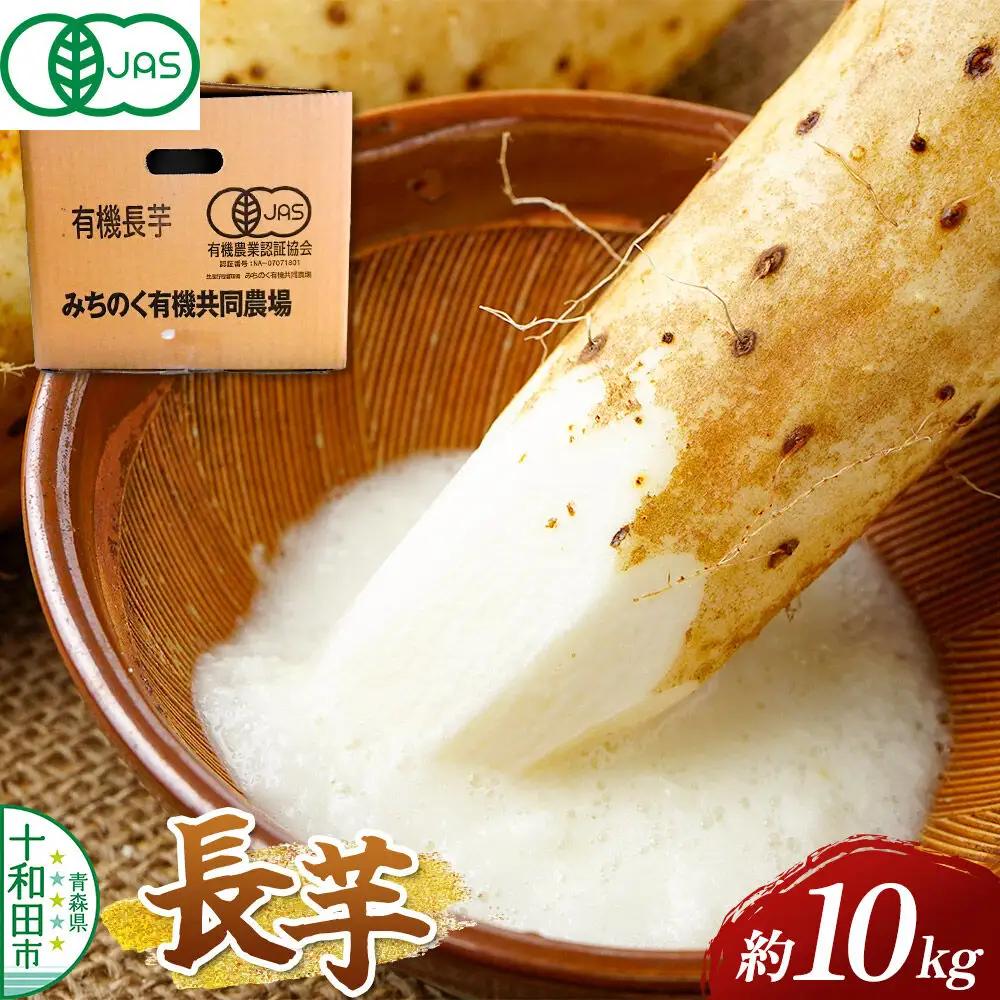 【有機JAS認証】有機栽培長芋 約10kg 青森県十和田市産