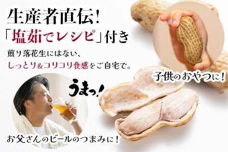 食べ応え抜群の大粒落花生「おおまさり」５００g袋×３袋≪数量限定≫★7月中旬より順次発送★鹿児島県産