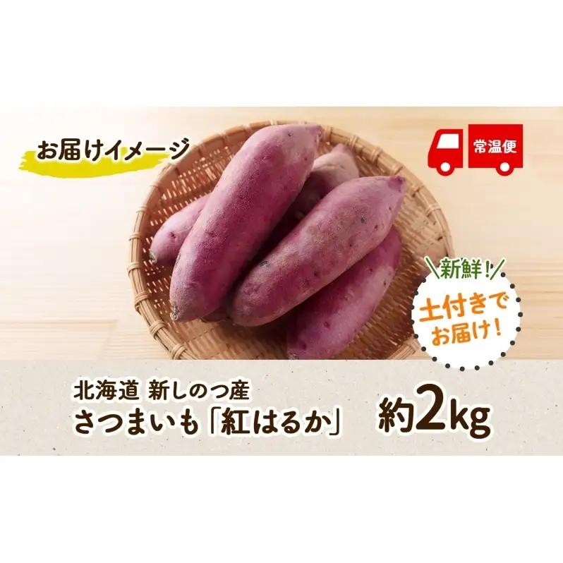 北海道 新しのつ産 さつまいも 紅はるか 計2kg サツマイモ 薩摩芋 芋 甘い ねっとり ホクホク 農作物 旬 採れたて 野菜 スイーツ おやつ お取り寄せ ご褒美 JA新しのつ 送料無料