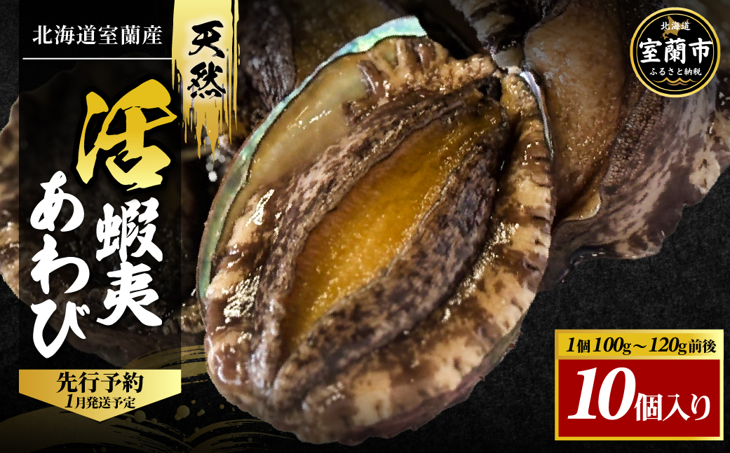 北海道室蘭産 天然活蝦夷あわび 10個入（1個100g～120g前後）（2025年11月下旬頃お届け） MROH007