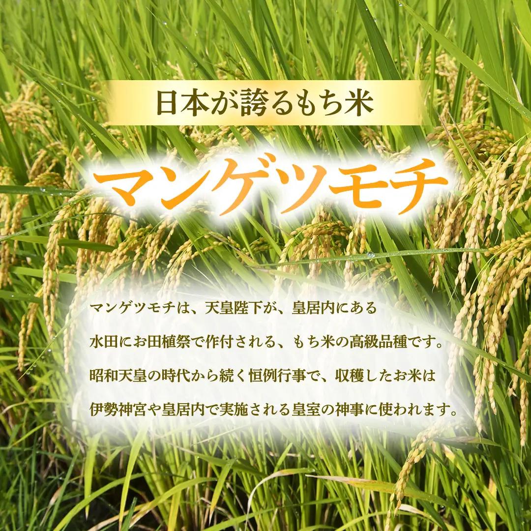 もち米 3kg 精米 マンゲツモチ 令和7年産 城里町産 3kg×1袋 (AX085)