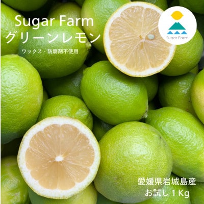 ★お試しセット★シュガーファームのグリーンレモン1Kg ワックス・防腐剤不使用 特別栽培認定レモン