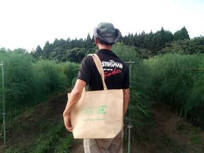 アスパラガス 約1.2kg ＆オリジナル保冷 エコバック 【8月中旬ごろ～発送予定】夏 採りたて セット 石井建一 D0432 アスパラ 野菜