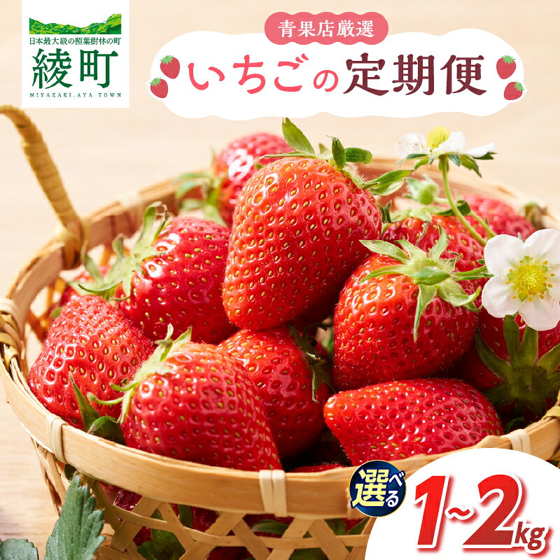 【ふるさと納税】≪内容量が選べる≫ 【全2回お届け】 いちご 定期便 500g 1kg 2回［I20］［I21］ 果物 フルーツ くだもの 2027年 青果 苺 イチゴ いちご大福 国産 おやつ スイーツ デザート おすすめ ジャム ジュース 甘い ジューシー ギフト おすそ分け 宮崎県 綾町