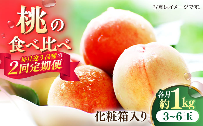 【2026年6月〜発送】【2回定期便】南島原の桃を食べ比べ 化粧箱入り 計2kg 日川白鳳 夢富士 あかつき なつっこ / 桃 もも ハウス桃 フルーツ 果物 / 南島原市 / ふくはちファーム [S