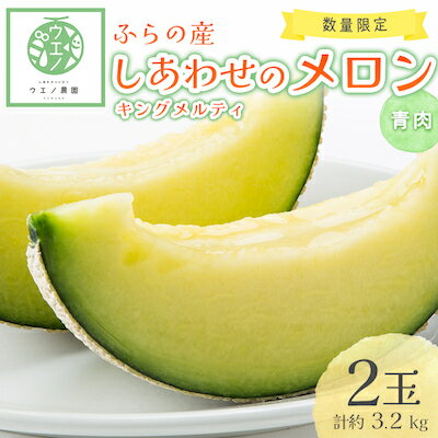 【ふるさと納税】【2027年発送先行予約】しあわせのメロン キングメルティ(青肉×2玉 計約3.2kg)_ メロン 果物 くだもの フルーツ 北海道 富良野 青肉 大玉 富良野メロン 贈答 ギフト 送料無料 お取り寄せ 人気 おすすめ 【1254166】
