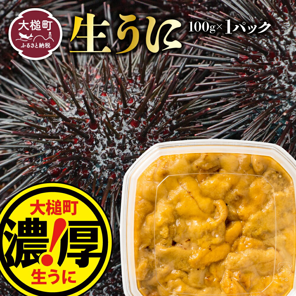 【ふるさと納税】【令和7年発送先行予約】塩水うに100g (1個～3個)【2025年5月上旬～8月発送】うに 岩手県大槌町 ウニ 100g 国産 ミョウバン不使用 生うに 収穫した日に発送 朝獲れ 天然【配送日指定不可】 《三陸産 濃厚 味》