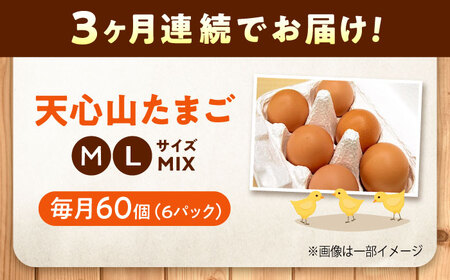 【全3回定期便】天心山 たまご 60個（10個入り×6パック） 卵 たまご 高級 食品 たまごかけご飯 卵かけご飯 卵焼き 生卵 濃厚 ケーキ お菓子 づくり ランキング 上位 人気 おすすめ 定期便