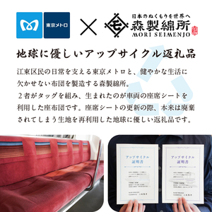 おうちでゆるっとメトロ（170×45cm・東西線：えんじ色）【kt031-009-2】
