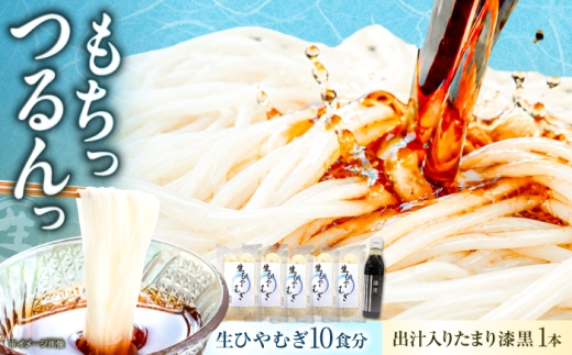 生ひやむぎセット ひやむぎ 生めん セット 【配送不可地域：北海道・沖縄・離島】 岐阜市 / 清流園 [ANJD004]