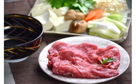 鳥取和牛 赤身切り落とし 600g 切り落とし 牛肉 国産 和牛 黒毛和牛 肉 赤身 ブランド牛 国産牛 鳥取県 倉吉市 KR1454