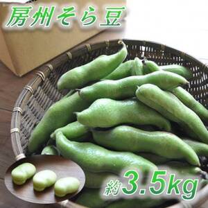 【数量限定】安心安全なサヤ付き房州そらまめ 約3.5kg (4月下旬頃～5月下旬頃発送予定)【配送不可地域：離島・北海道・沖縄県・東北・中国・四国・九州】【1486428】