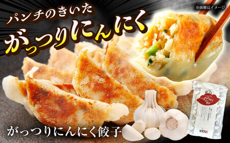 餃子屋ヒロの全種類食べ比べセット【餃子屋ヒロ】開成町 餃子 点心 惣菜 冷凍[BDAS007]