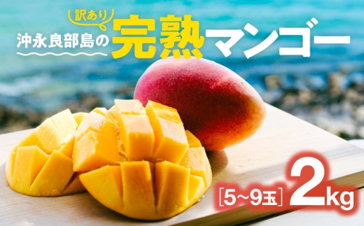 島の恵みをおすそ分け！沖永良部島の完熟マンゴー（訳あり）　C081-001