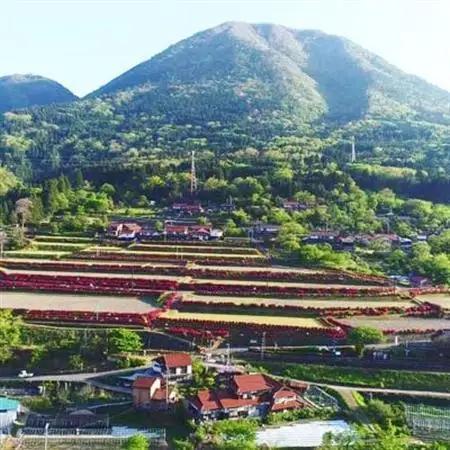 青野山の湧水と朝晩の寒暖差が育んだ棚田の甘～い米「コシヒカリ」(白米5kg×2袋)(令和7年産)【1524992】
