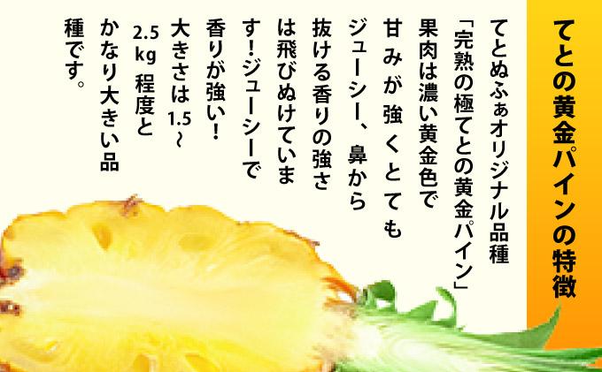 《6月以降発送》袋をあければそこは南国！完熟てとの黄金パインをカットして小分けでお届け！ 100g×6パック  TF-106 冷凍カットパイン（てとの黄金パイン）100g×6袋 | 沖縄県 石垣市 石