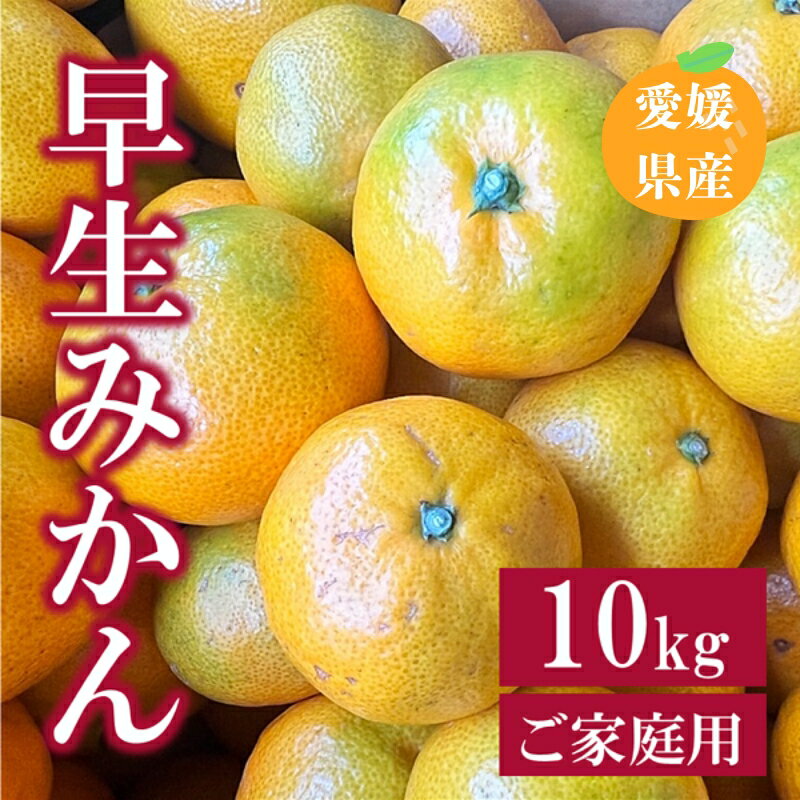【ふるさと納税】早生みかん 10kg ご家庭用 農園直送 先行予約 【11月以降順次発送予定】 愛媛 数量限定 愛媛県産 人気 柑橘 伊予市｜B255