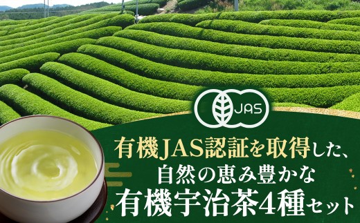 【有機宇治茶】プレミアムセット（80g×4本）有機 オーガニック  茶葉  高級 極上 お茶 煎茶 最上級 玉露 一番茶 緑茶 飲料 お茶 茶 宇治茶 56210063