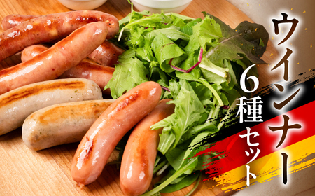 ウインナー6種セット 国産 ビールに合うソーセージ 本場ドイツウインナー ウインナー