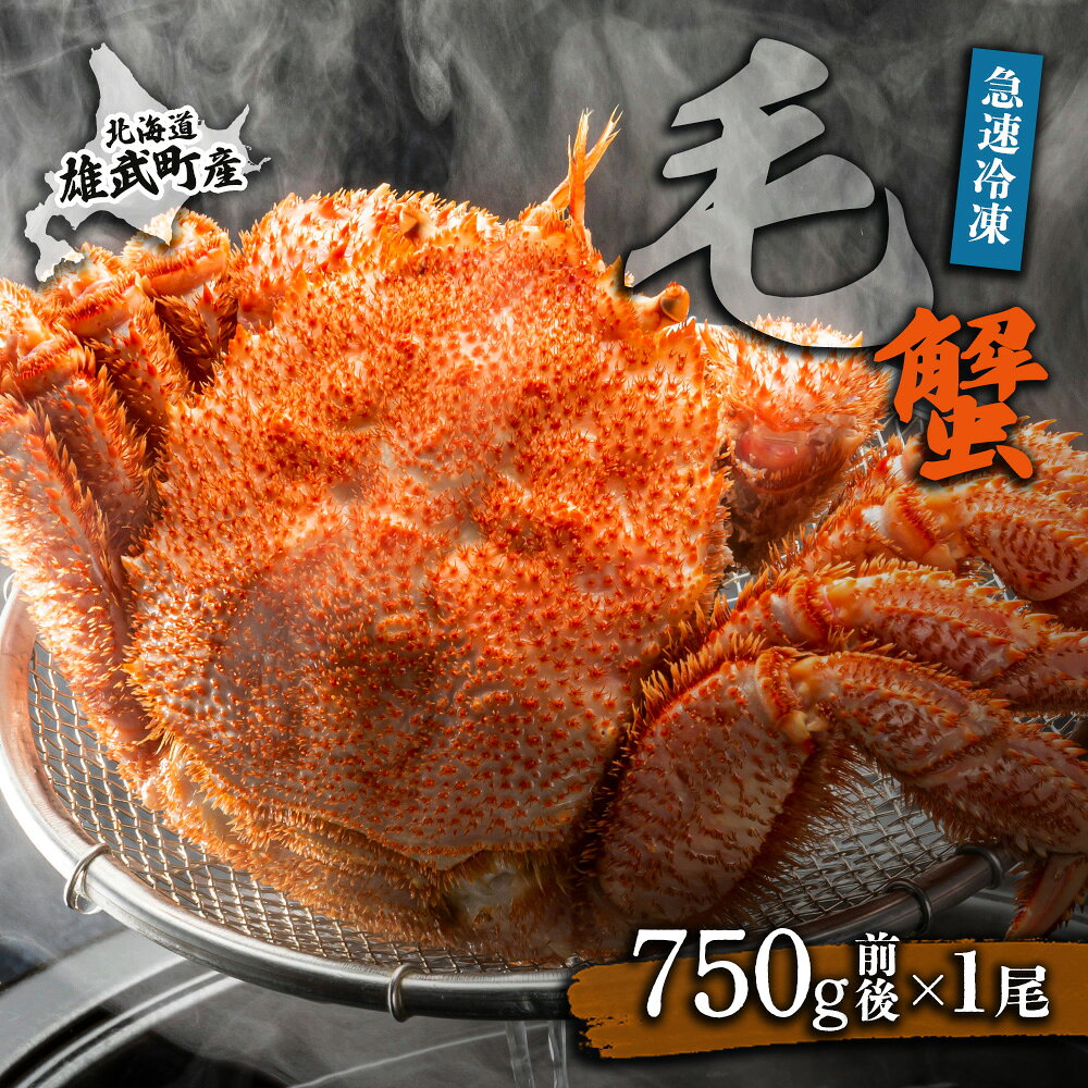 【ふるさと納税】【北海道雄武町産】毛がに（冷凍）(750g前後×1) オホーツク産 オホーツク 毛がに 毛ガニ 毛蟹 蟹 カニ 750g 1尾 かに かにみそ カニみそ かに味噌 濃厚 海産物 海鮮 魚介 冷凍 ふるさと納税 北海道 雄武【12043AA0101】