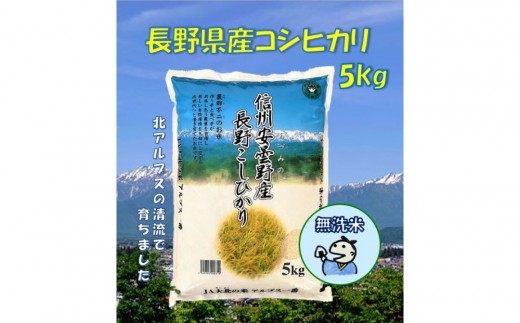 米 無洗米 コシヒカリ 長野県産 5kg｜米 コシヒカリ 長野県産 国産米 人気 おすすめ  ごはん 和食 健康  ギフト 送料無料 長野県 大町市 ふるさと納税