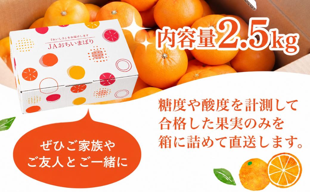 【先行予約】せとか レギュラー箱 2.5kg 柑橘 みかん ミカン 蜜柑 せとか 果物 フルーツ 国産 愛媛みかん 愛媛ミカン 国産フルーツ 愛媛県 上島町 JAおちいまばり