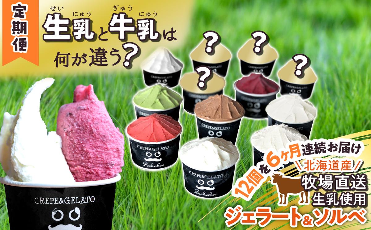 ＜6ヶ月定期便＞北海道産 生乳 ジェラート アイス 毎月12個  詰め合わせ ジェラートセット