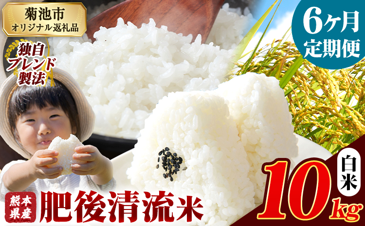 【6ヶ月定期便】熊本県産 肥後清流米 白米 10kg ブレンド米 熊本県産 ふるさと納税 精米 米 こめ ふるさとのうぜい コメ お米 おこめ《お申込み翌月から出荷》---300-5110---