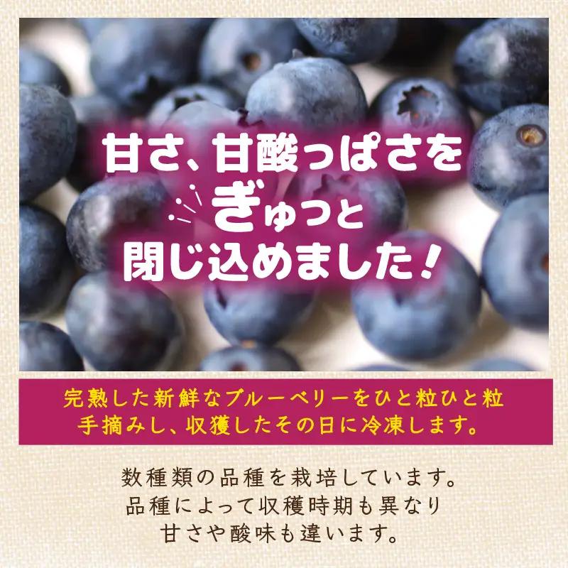 【先行予約】【訳あり】【冷凍】あわらフルーツランドのブルーベリー たっぷり 800g 便利な400g×2袋 【完熟】 / フルーツ 果物 くだもの 冷凍 小分け 完熟 ご当地 国産 おすすめ ※202