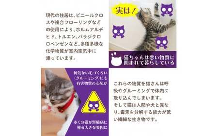 オーガニック猫ベッド すやすや | ペット 猫 ねこ ネコ スキンケア ペット用品 ペットベッド 猫ベッド ベッド 木製 快眠 健康 自然素材 杉 防虫効果 空気清浄 空気浄化 安全 安心 国産 日本