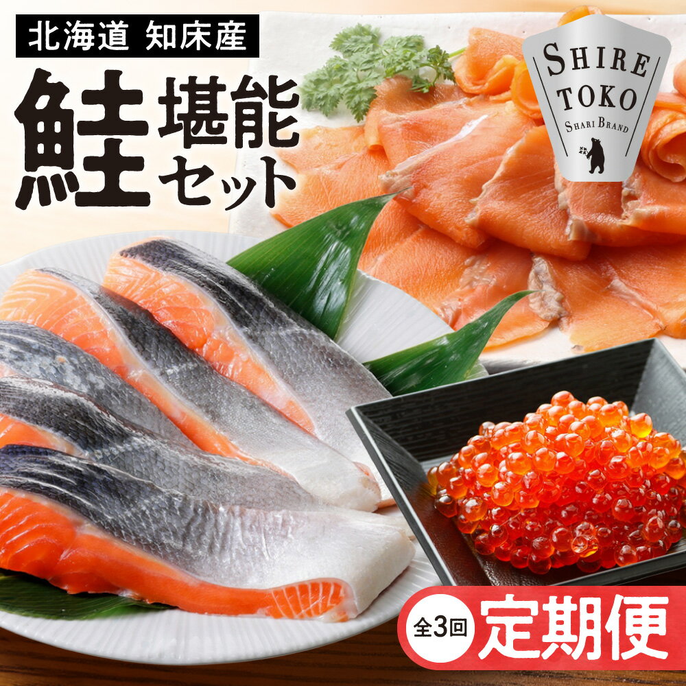 【ふるさと納税】【毎月定期便】鮭堪能セット[サーモンスライス・鮭切身・鮭刺身など]全3回【配送不可地域：離島】