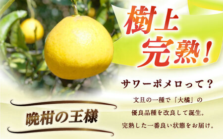 サワーポメロ約5kg 長与町/溝上農園[EBY004]フルーツ 柑橘