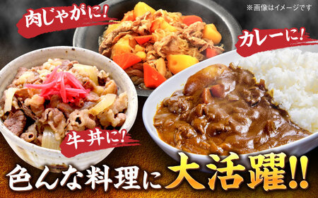 【和牛の旨味を堪能！】博多和牛 牛肉 切り落とし 500g＜株式会社MEAT PLUS＞那珂川市 牛肉 切り落とし 切り落とし肉 牛肉 肉 黒毛和牛 ブランド牛 国産  BBQ バーベキュー  900