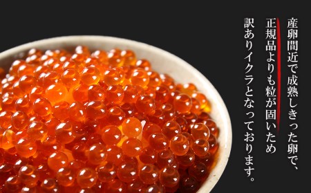 毛ガニ 冷凍 1尾 (420-460g前後)・ 訳あり イクラ 100g セット AS169