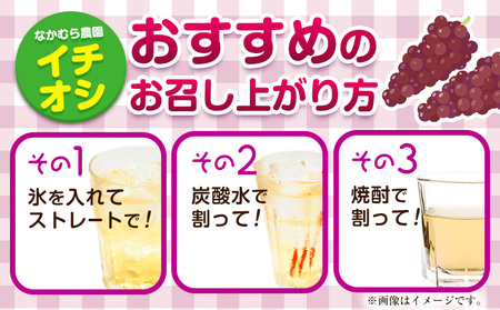 デラウェア ジュース 720ml 6本 有限会社なかむら農園《30日以内に出荷予定(土日祝除く)》大阪府 羽曳野市 ジュース 飲料品 ドリンク ぶどう ブドウ 葡萄 送料無料|ﾃﾞﾗｳｪｱﾃﾞﾗｳｪｱ