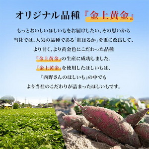 【先行受付・12月以降発送】(訳あり)西野さんのほしいも　紅はるか　切り落とし(200g×5袋)【1660799】