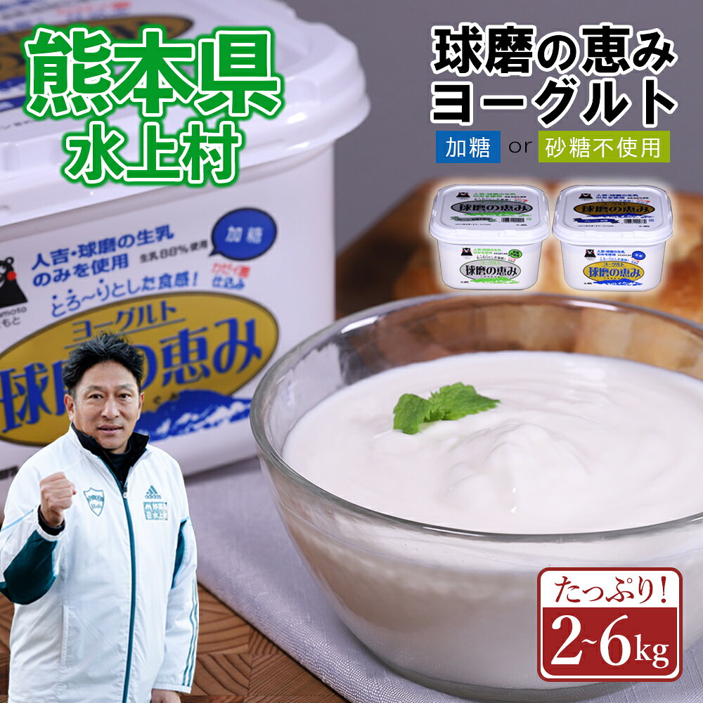【ふるさと納税】球磨の恵み ヨーグルト 選べる容量 2kg / 3kg / 4kg / 6kg 大容量 乳製品 プレーン 加糖 無糖 砂糖不使用 まとめ買い 送料無料 熊本県 水上村