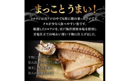 【定期便 偶数月6回】 干物 トロ鯵 鯵 アジ あじ 8枚 冷凍 人気 干物 大容量 魚介 海鮮 惣菜 白身魚 室戸海洋深層水 高知県室戸市 ご飯のお供 晩酌 酒の肴 おつまみ 朝食 BBQ キャンプ