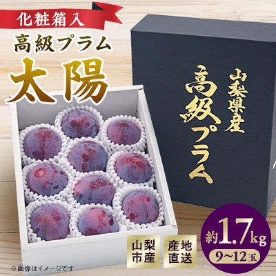 【2027年発送先行受付】山梨市産プラム　太陽　約1.7kg(9～12玉)【配送不可地域：離島・沖縄県】