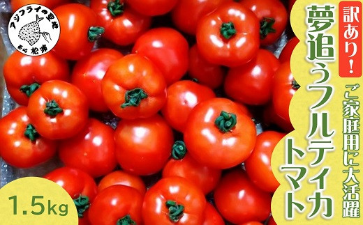 
            訳あり！ご家庭用に大活躍 夢追うフルティカトマト1.5㎏( トマト とまと ジューシー リコピン 期間限定 松浦市 松浦産 フルティカトマト )【A6-033】
          