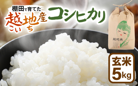 【先行予約】【令和7年産 新米】越地 (こいち) 産 コシヒカリ (玄米) 計5kg 【2025年9月中旬以降順次発送予定】[m24-a009]