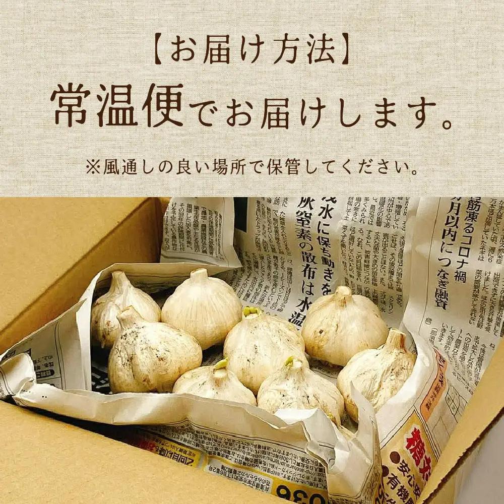 飛騨産 にんにく 500g ニンニク【7月中旬から12月発送】水村農園