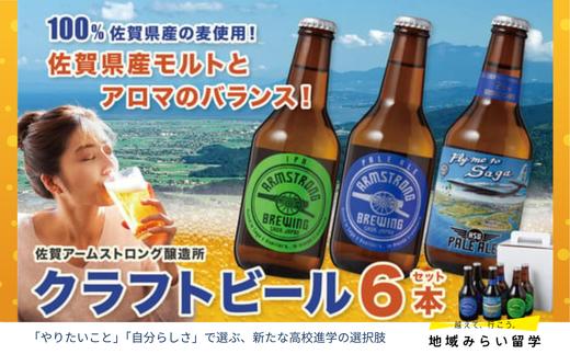 
            【セット】クラフトビール6本セット(ペールエール/HSGペールエール/IPA 各2)
          