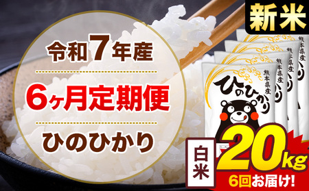 【6ヶ月定期便】令和7年産 新米 白米 20kg 米 ひのひかり《1月から出荷開始》熊本県 菊池市 国産 熊本県産 白米 精米 無洗米 送料無料 ヒノヒカリ こめ お米