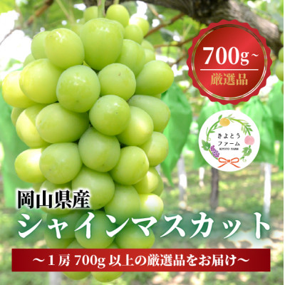 【厳選品】大粒シャインマスカット1房 700g～ (岡山県産) 果樹園厳選のシャインをお届け!【配送不可地域：離島】